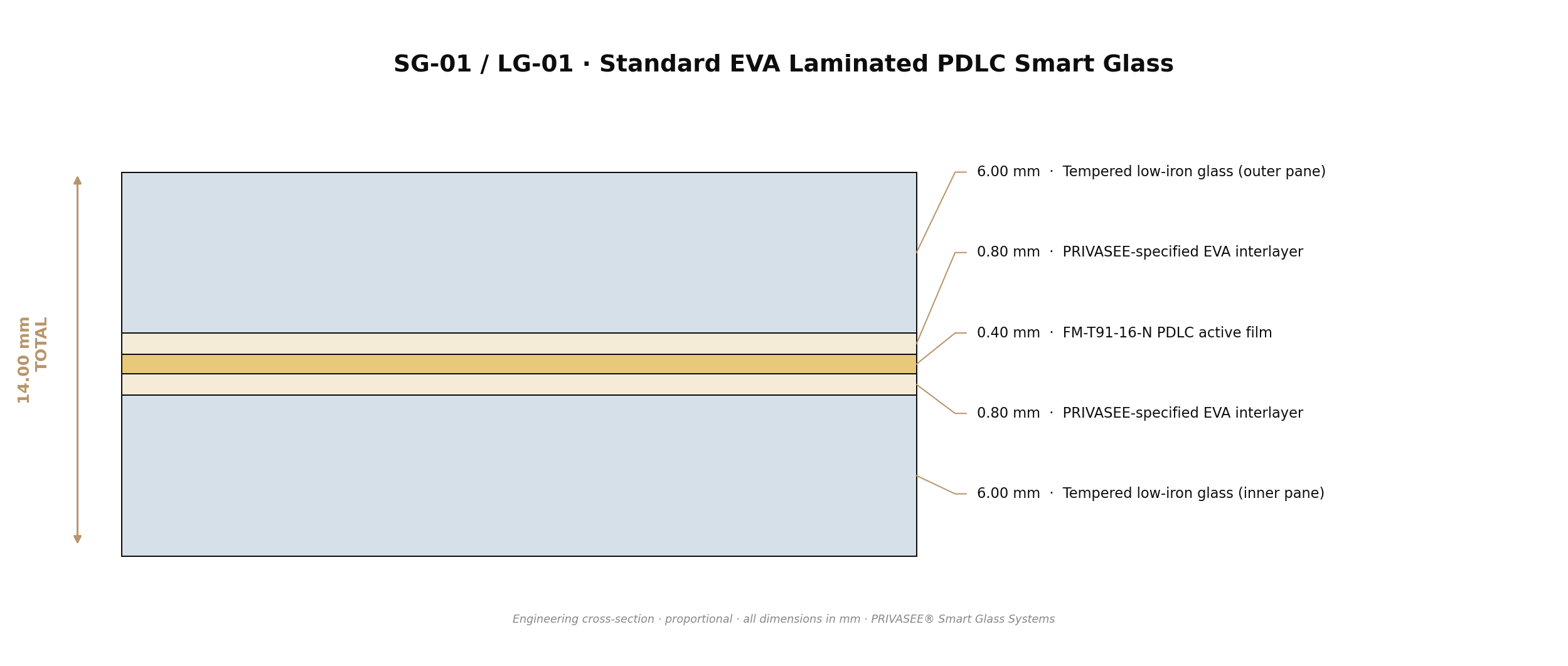 SG-01 Standard Smart Glass